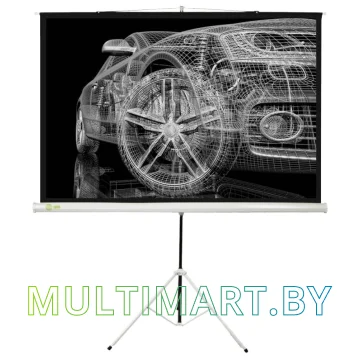Проекционный экран CACTUS Triscreen CS-PST-124x221
